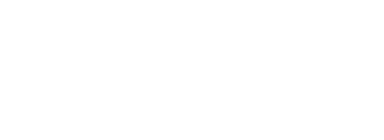 Anzca Logo
